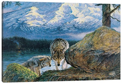 Spirit Mountain Canvas Art Print - Wolf Art