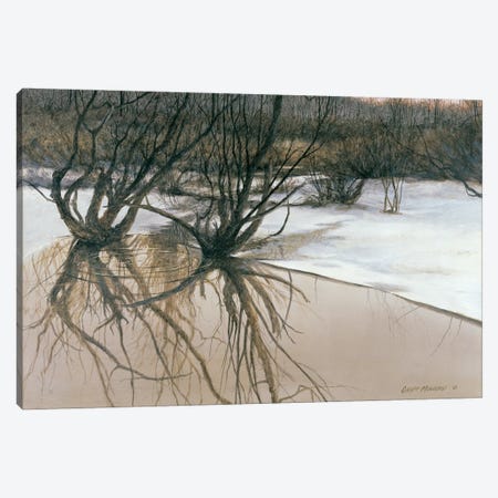 The Wetlands Canvas Print #GMW28} by Geoff Mowery Art Print