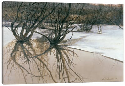 The Wetlands Canvas Art Print - Marsh & Swamp Art