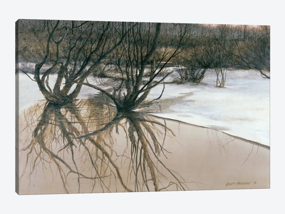 The Wetlands by Geoff Mowery 1-piece Canvas Art
