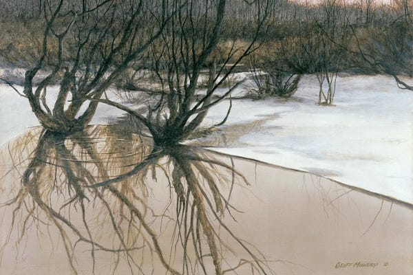 Marshes & Swamps: The Wetlands by Geoff Mowery