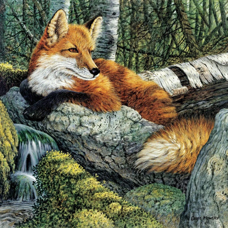 At The Spring