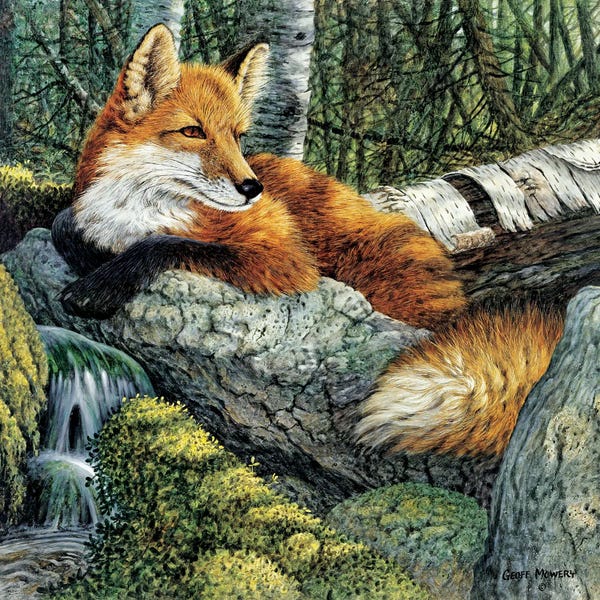 Cabin & Lodge Décor: At The Spring by Geoff Mowery