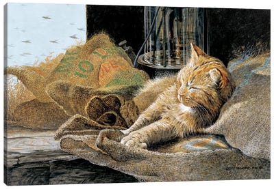 Thunder In The Barn Canvas Art Print - Orange Cat Art