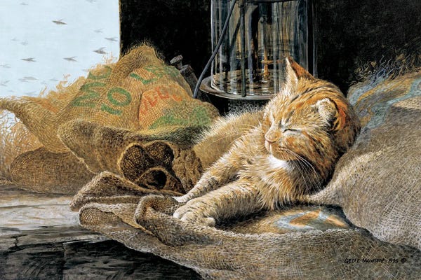 Orange Cats: Thunder In The Barn by Geoff Mowery