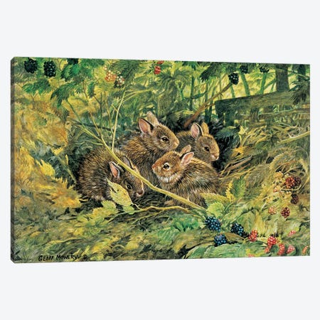 The Briar Patch Canvas Print #GMW3} by Geoff Mowery Canvas Art Print