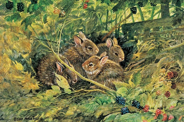 Rabbits: The Briar Patch by Geoff Mowery