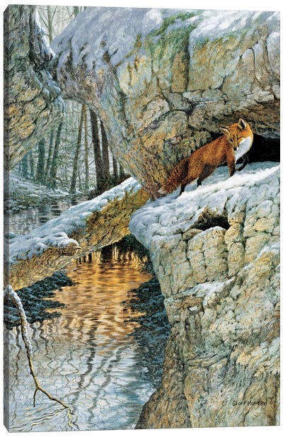 Chagrin River Retreat Canvas Art Print - Geoff Mowery