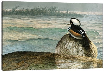 Crossing Lake Erie Canvas Art Print - Duck Art