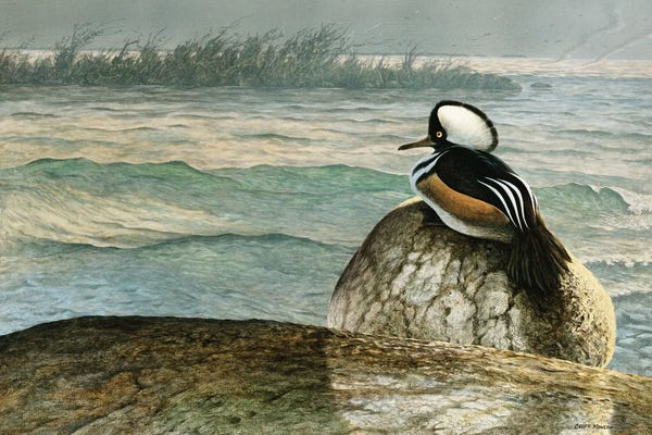 Lakehouse Décor: Crossing Lake Erie by Geoff Mowery