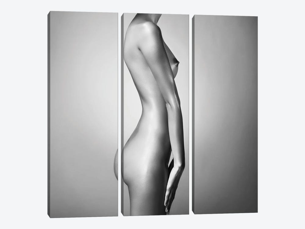 Naked Lady XXIX by George Mayer 3-piece Art Print
