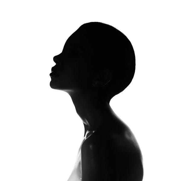 In The Shadows: Shadow Lady VIII by George Mayer