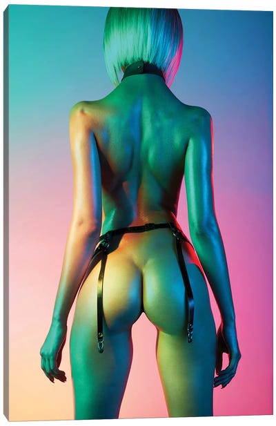 Color Of Night Xvii Canvas Art Print - Nude Art