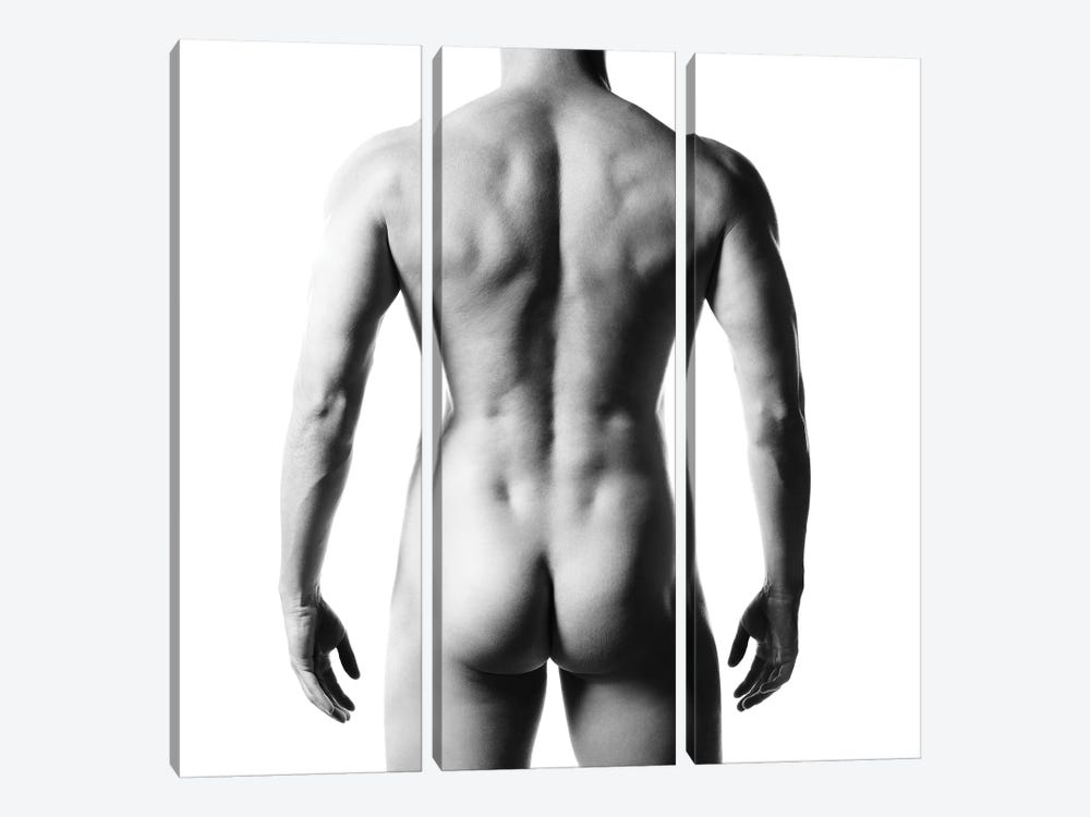 Naked Man by George Mayer 3-piece Canvas Artwork