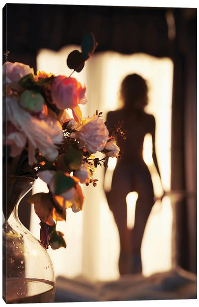 Morning Spring III Canvas Art Print - In the Shadows