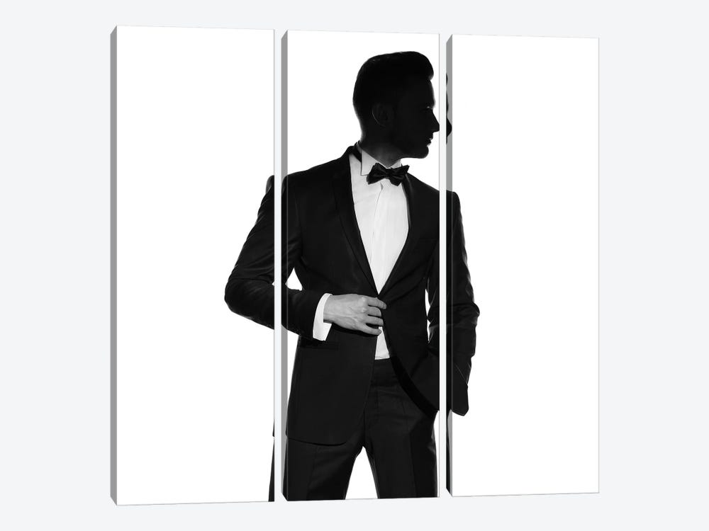Man In Tuxedo I by George Mayer 3-piece Canvas Art