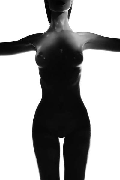 In The Shadows: Shadow Lady XI by George Mayer