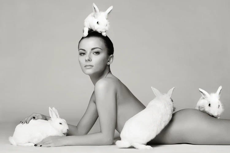 Follow The White Rabbit I