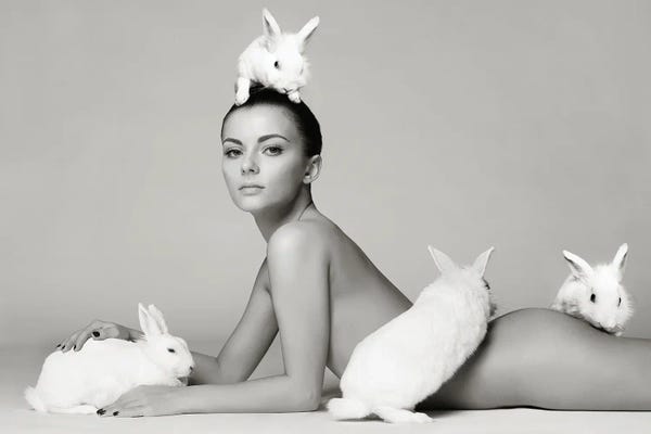 George Mayer: Follow The White Rabbit I by George Mayer