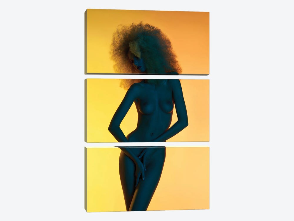 Color Nude by George Mayer 3-piece Canvas Art
