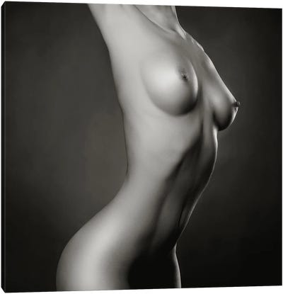 Naked Lady XXXII Canvas Art Print - George Mayer