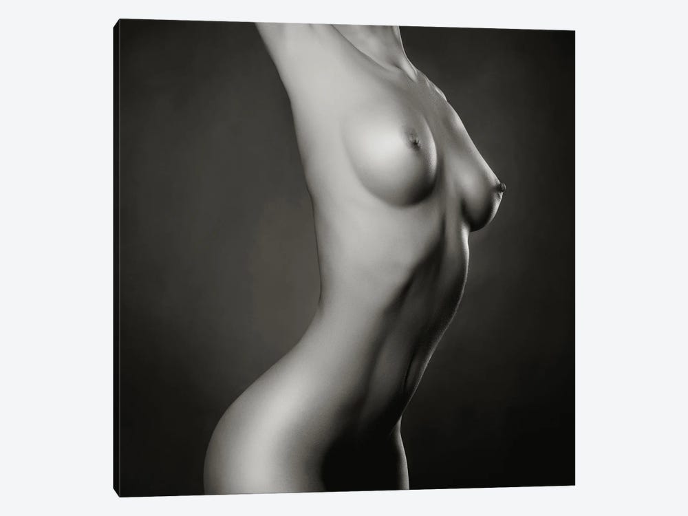 Naked Lady XXXII by George Mayer 1-piece Canvas Art