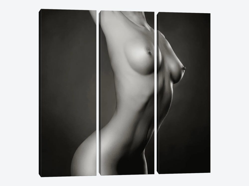 Naked Lady XXXII by George Mayer 3-piece Canvas Art