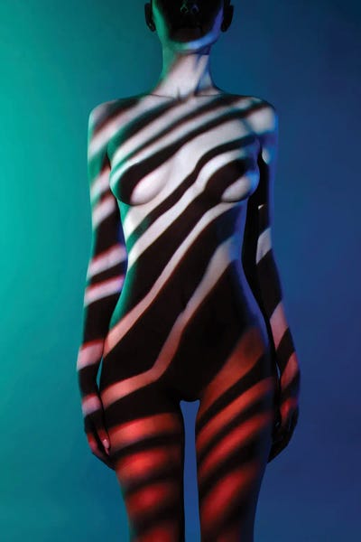 Shadow Body-Art I by George Mayer multi panel art