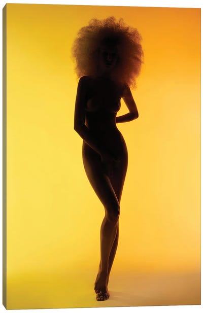 Color Nude II Canvas Art Print - In the Shadows