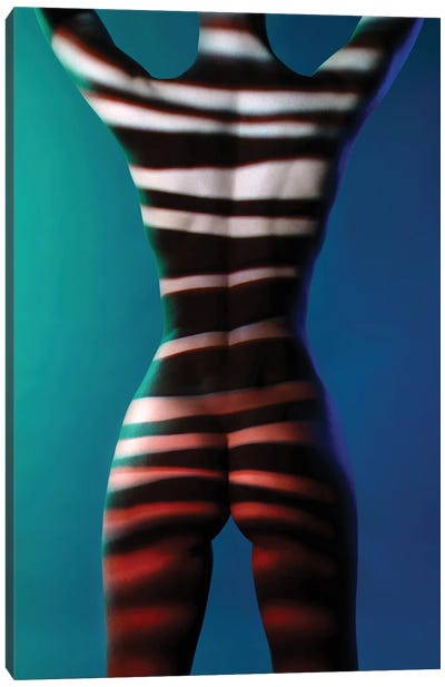 Shadow Body-Art IV Canvas Art Print - George Mayer