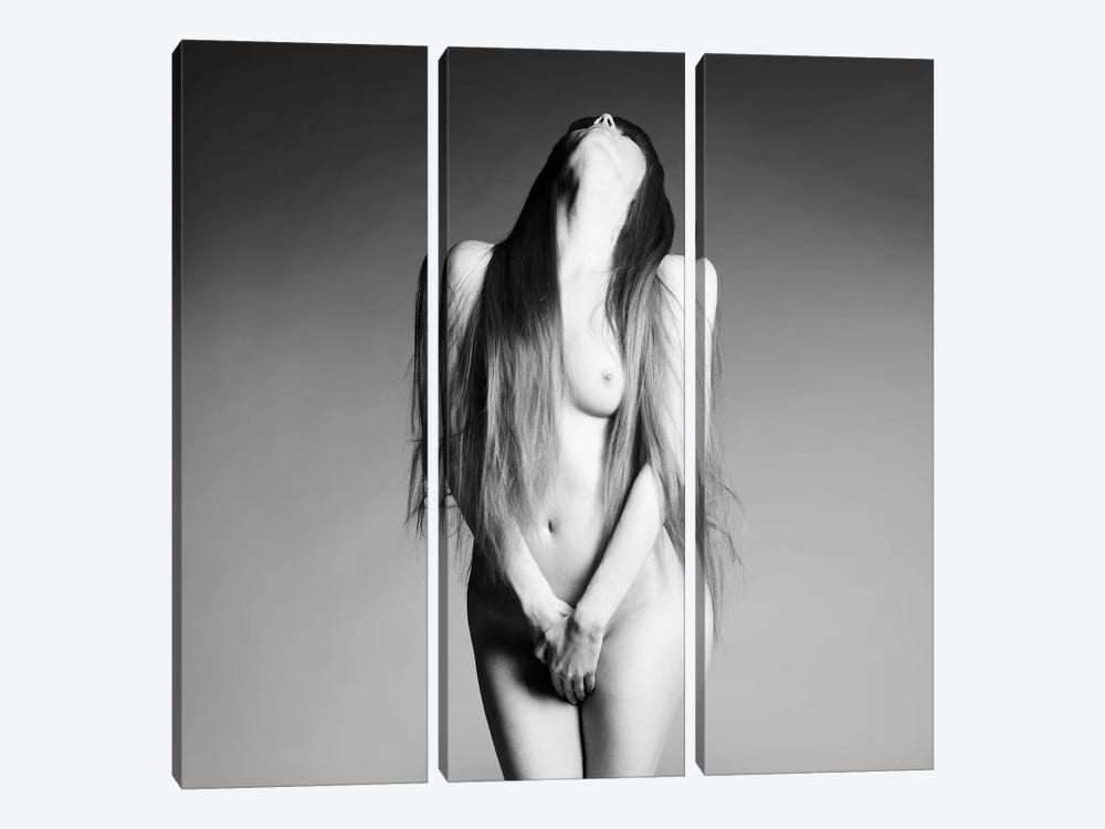 Naked Lady XXXIII by George Mayer 3-piece Art Print