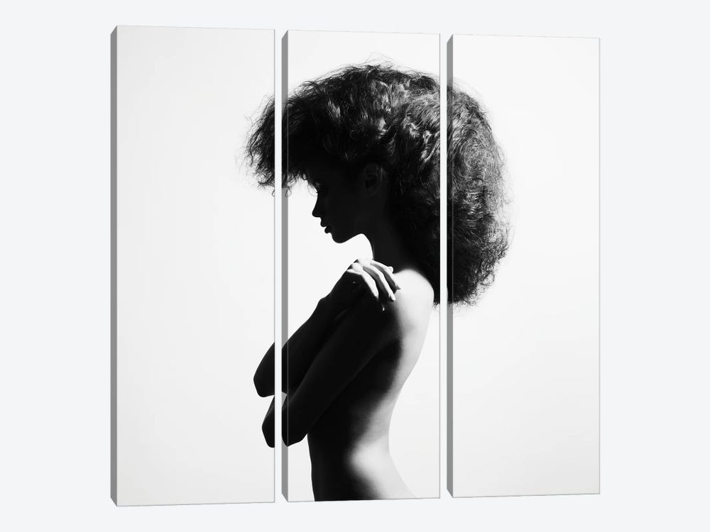 Naked Lady XXXIV by George Mayer 3-piece Canvas Print