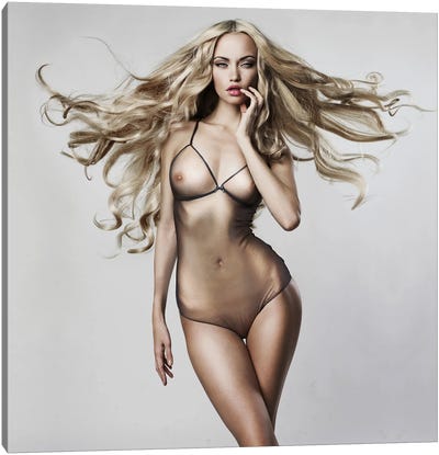 Art Portrait Of Nude Sexy Blonde Canvas Art Print - Lingerie Art