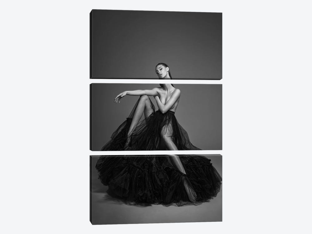 Art Portrait Of Beautiful Lady In Black Dress VII by George Mayer 3-piece Canvas Print