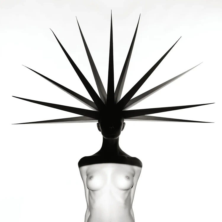 Freedom by George Mayer wall art