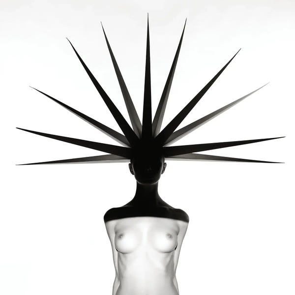 George Mayer: Freedom by George Mayer