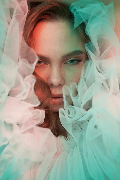 Fashion Photo Of Elegant Lady XVII