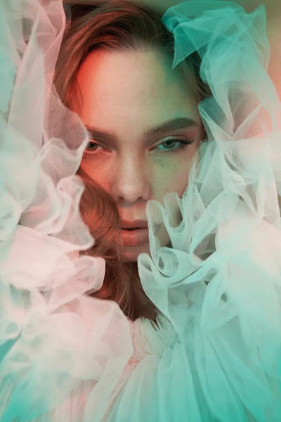 Fashion Photo Of Elegant Lady XVII