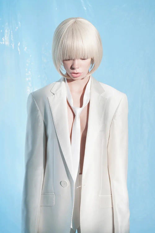 Fashion Photo Of Elegant Lady XXII