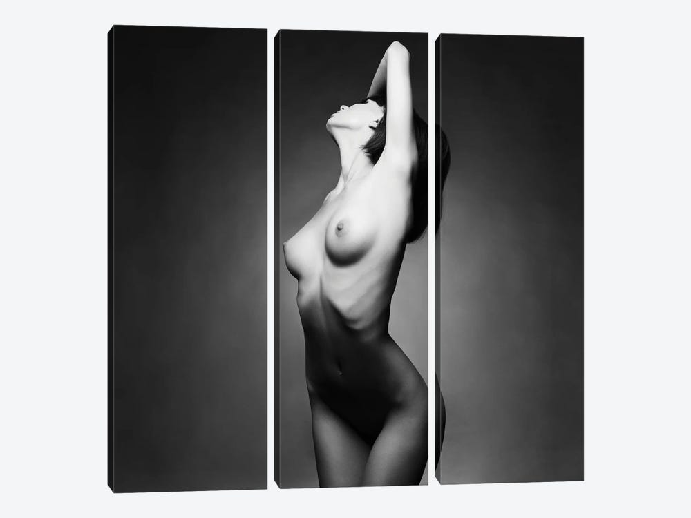 Naked Lady IV by George Mayer 3-piece Art Print