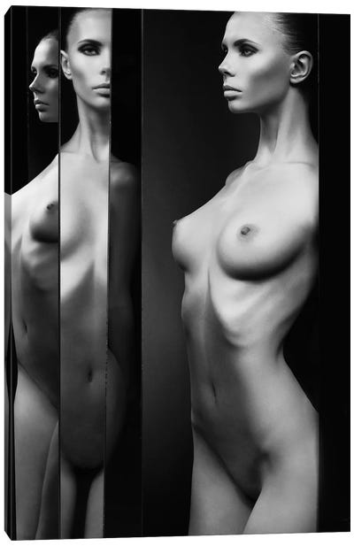 Naked Lady V Canvas Art Print - George Mayer