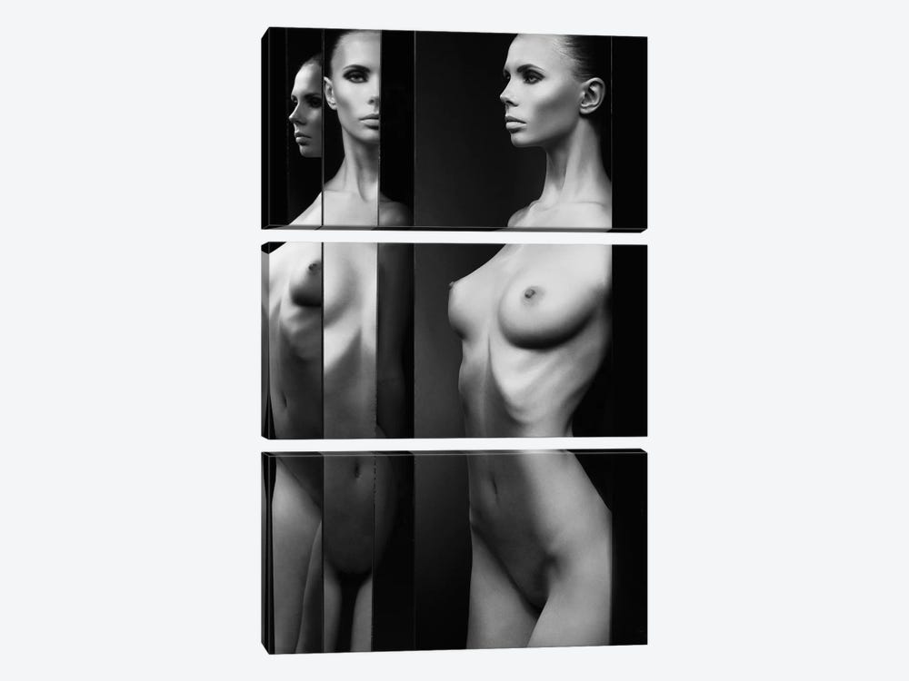 Naked Lady V by George Mayer 3-piece Canvas Artwork