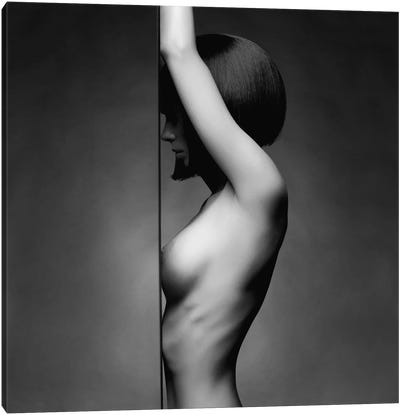 Naked Lady VI Canvas Art Print - George Mayer