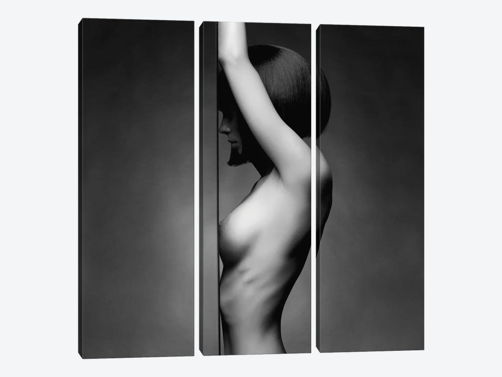 Naked Lady VI by George Mayer 3-piece Canvas Print
