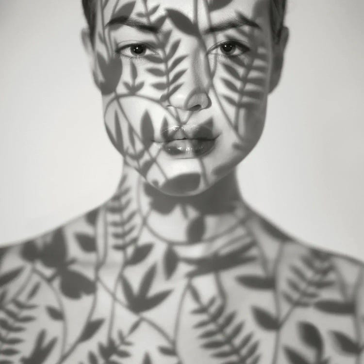 Lady With Shadows