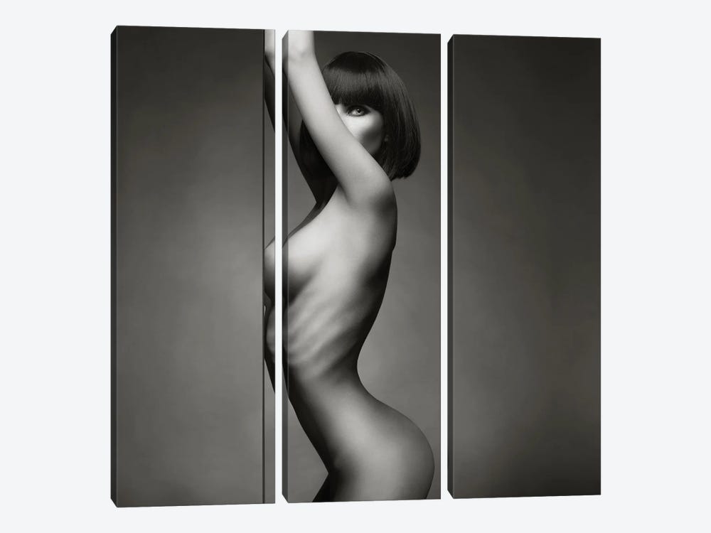 Naked Lady IV by George Mayer 3-piece Canvas Print