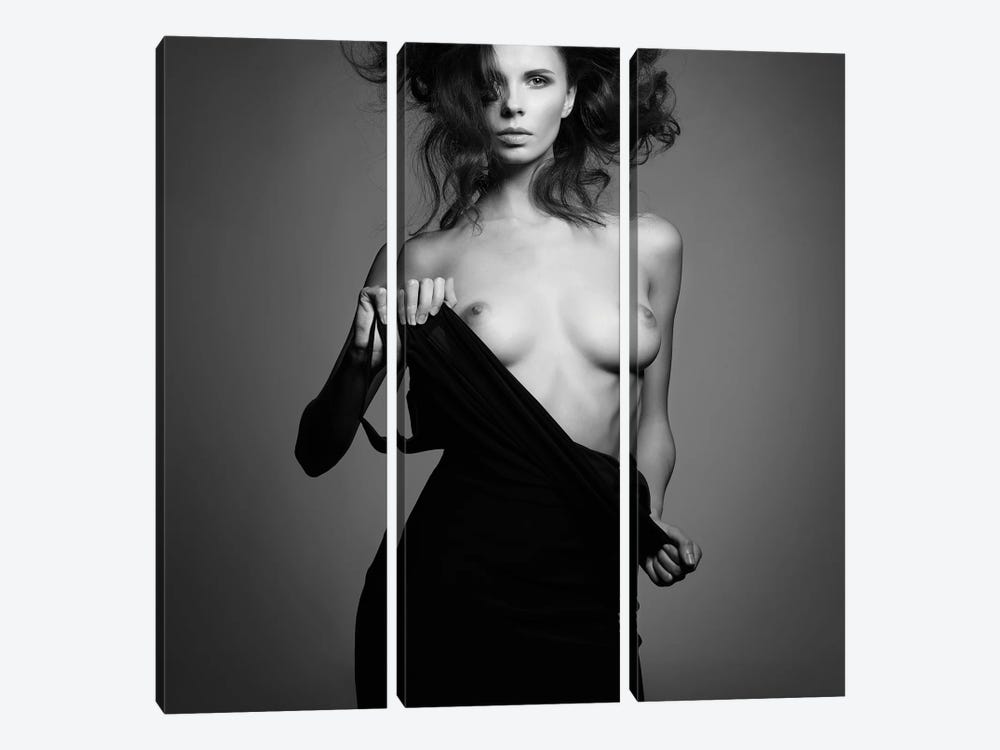 Naked Lady XVIII by George Mayer 3-piece Canvas Print