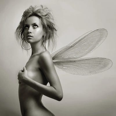 Lady With Wings by George Mayer multi panel art