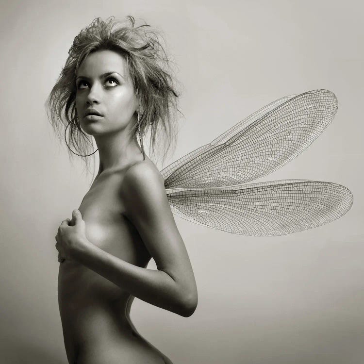 Lady With Wings