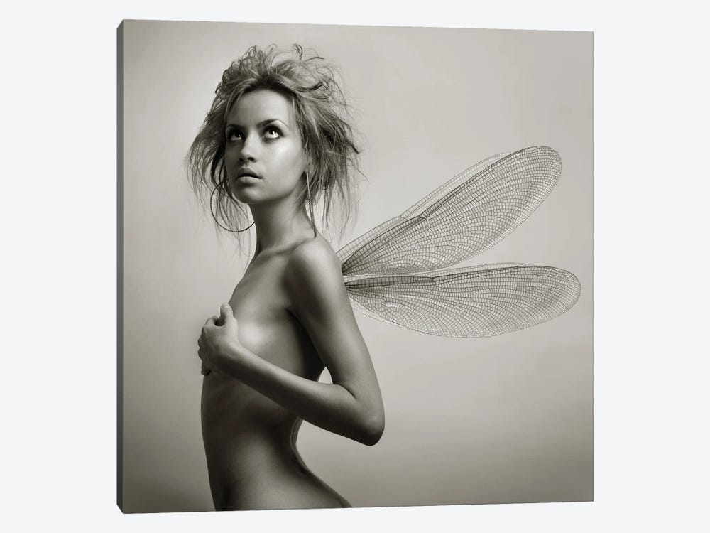 Lady With Wings by George Mayer 1-piece Canvas Art Print
